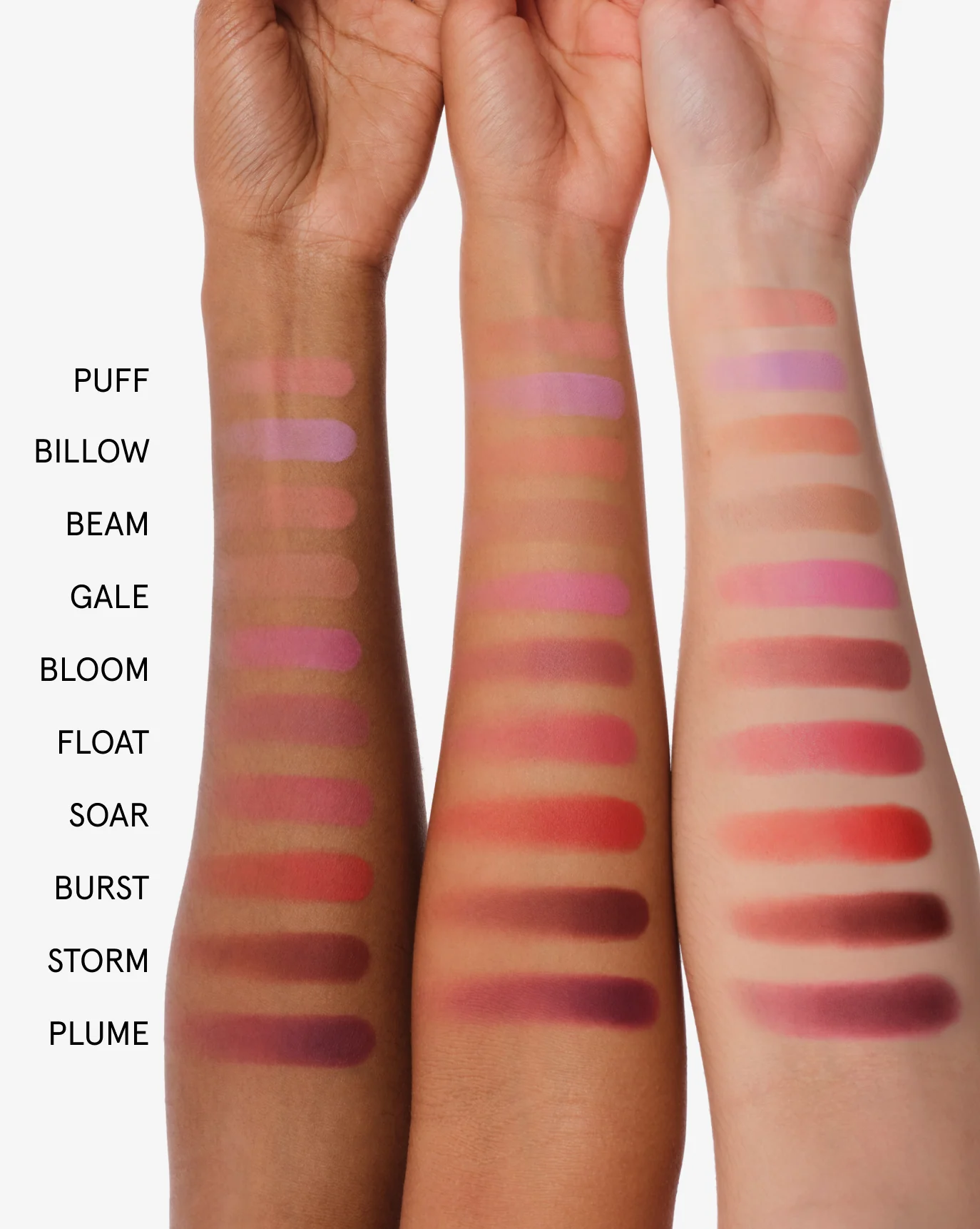 Blush Duo - Image 8