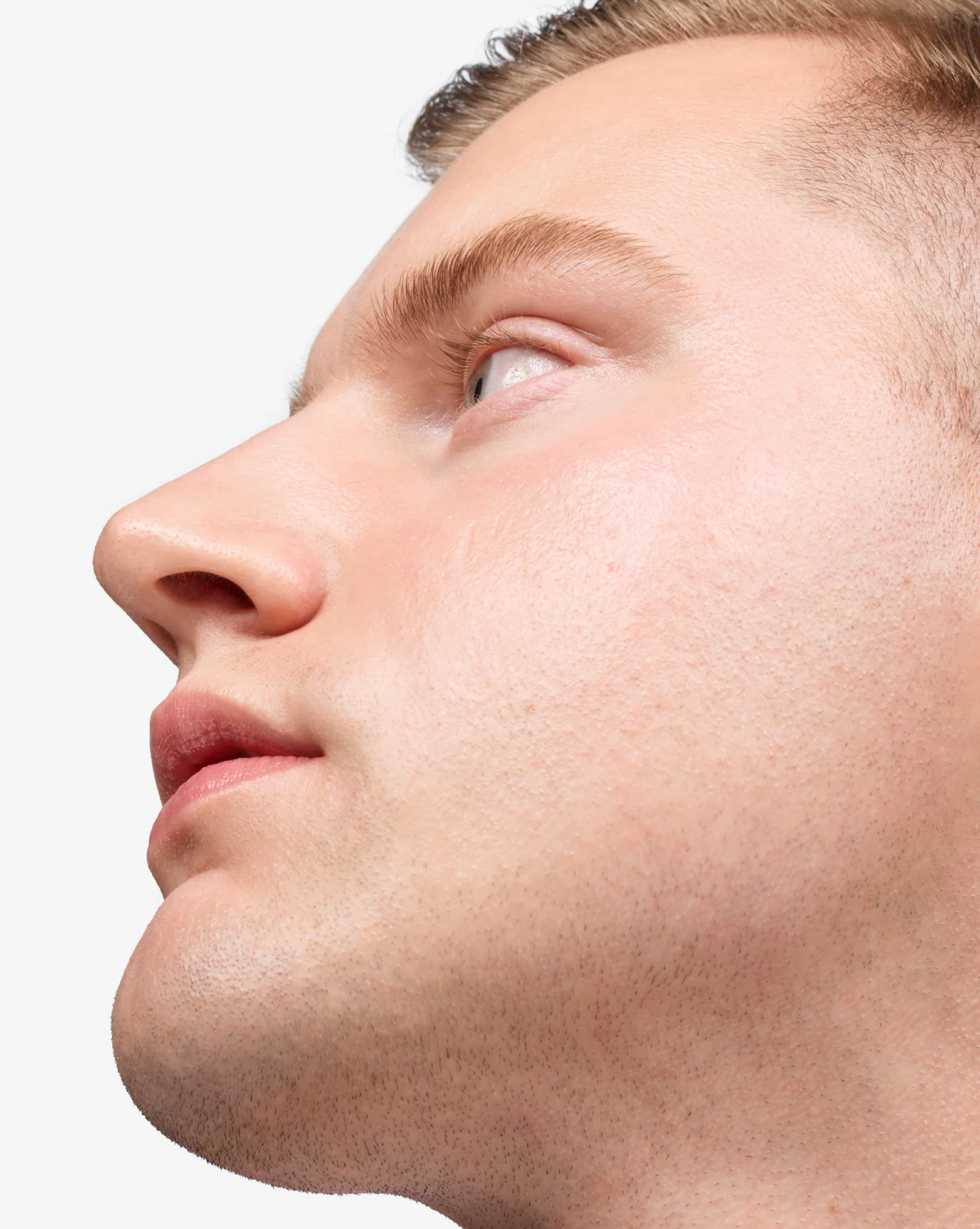 Boy Brow - Image 36
