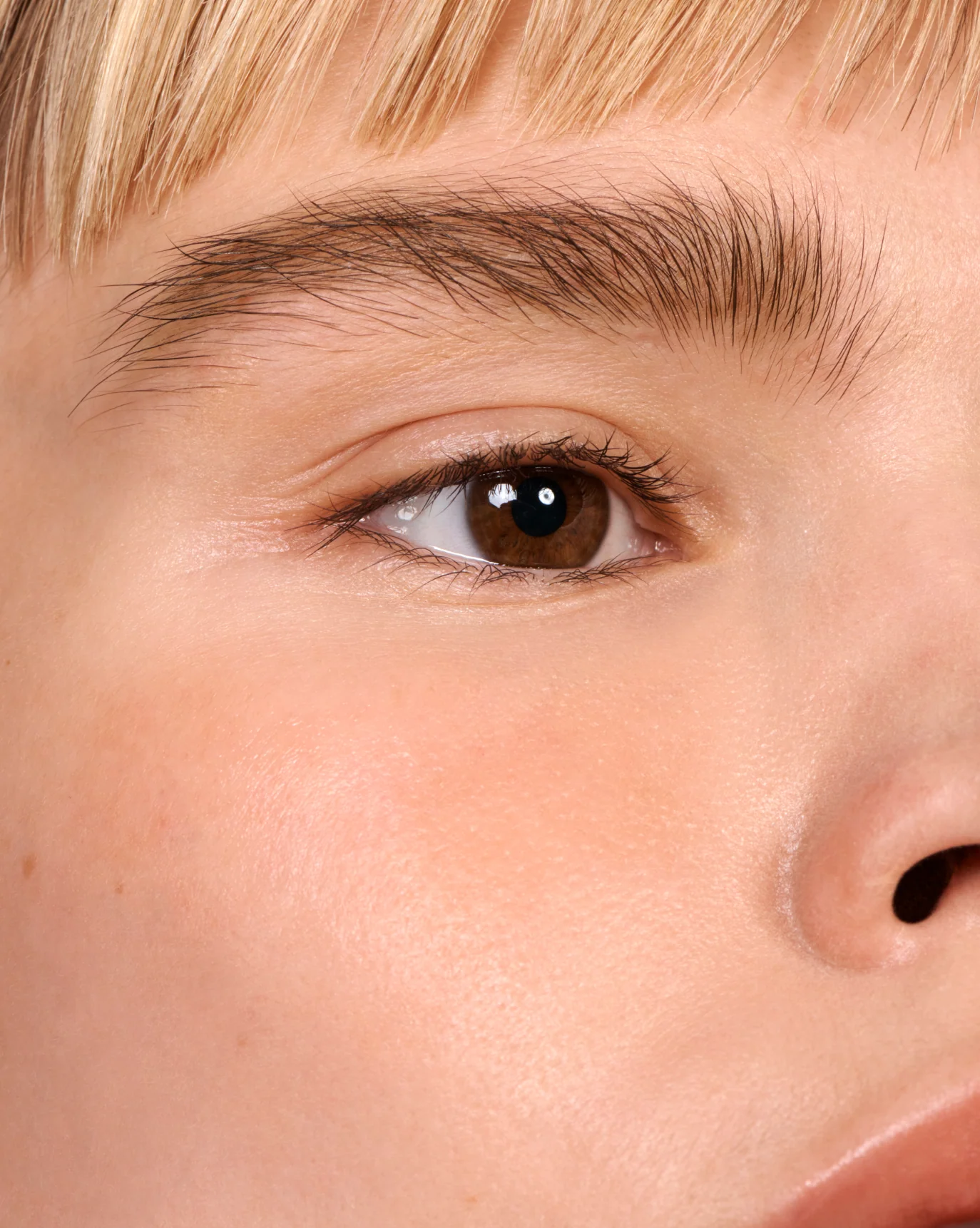 Boy Brow Arch - Image 58