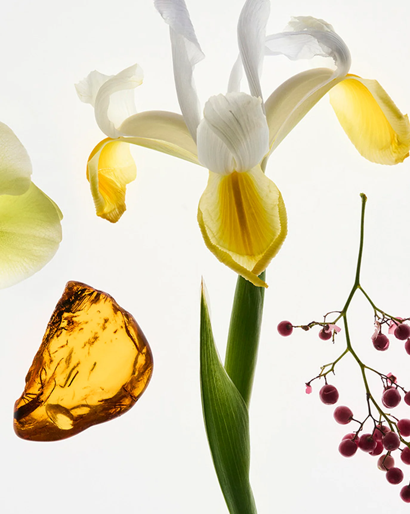 Fleur + You - Image 9