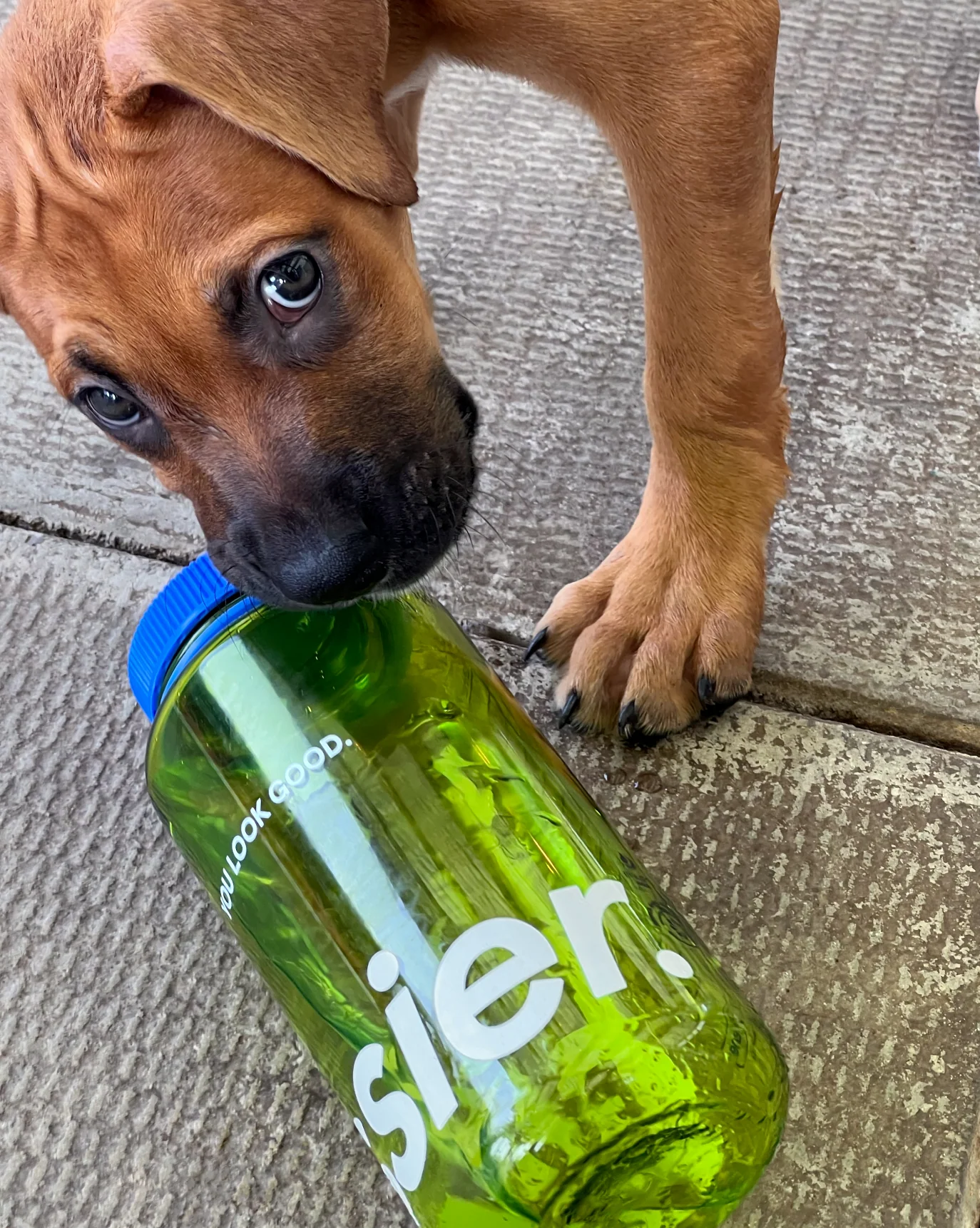 Water Bottle - Image 5